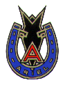 ariel badge
